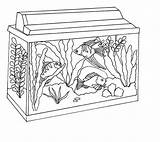 Fish Tank Coloring Aquarium Clipart Awesome Pages Netart Print Kids 52kb Search Webstockreview Again Bar Looking Case Don Use Find sketch template