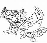 Uccelli Pintar Pajaritos Oiseaux Pájaros Ocells Pajaros Diversos Colorier Pajaro Passaros sketch template