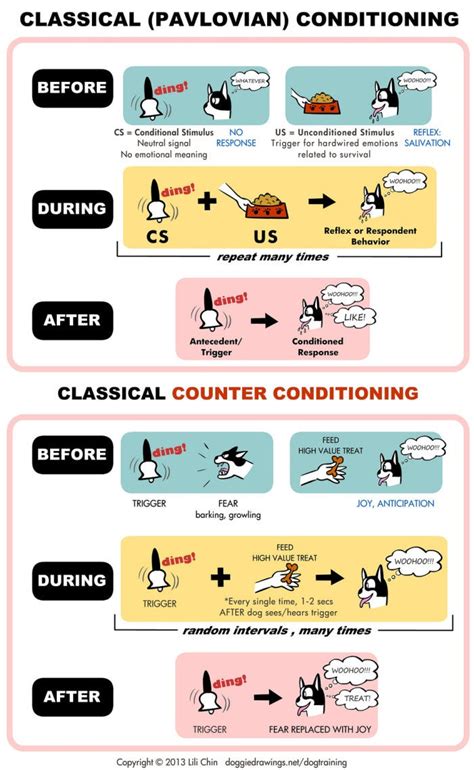 classical conditioning  operant conditioning explained