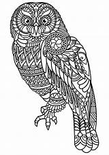 Owl Coloring Owls Book Patterns Complex Pages Beautiful Adult Printable Animals Adults sketch template