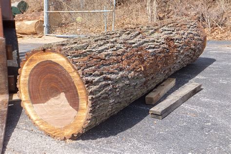 log worth woodworking network