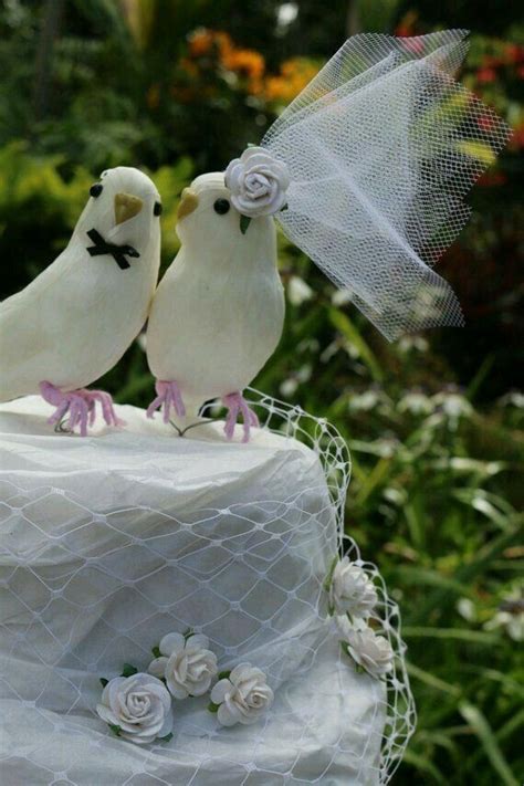 pin  estelle marie dippenaar  parrots   birds bird cake topper wedding wedding