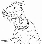 Pitbull Colouring Realistas Realista Desenho Cachorro Coloringhome Webstockreview Procurando Estava Faça Bacana Criações Principalmente Você Poplembrancinhas sketch template