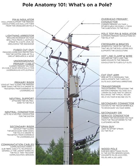 electric pole anatomy  rcoolguides