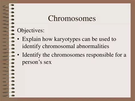 Ppt Chromosomes Powerpoint Presentation Free Download Id 39746