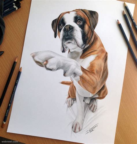 dog color pencil drawing  dinotomic  preview