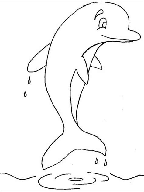 dolphin coloring pages  ai