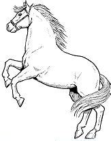 fancy horse coloring pages horse coloring pages coloring pages