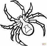 Coloring Spider Pages Scary Color Print Popular sketch template