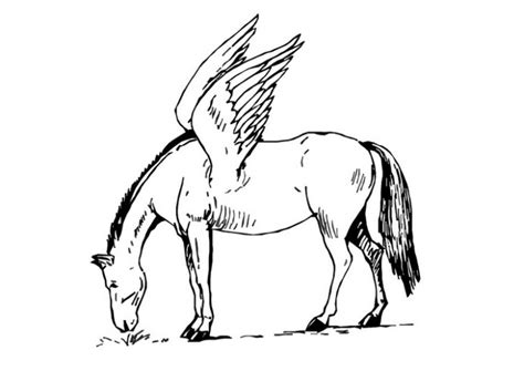 coloring page   horse  wings   print