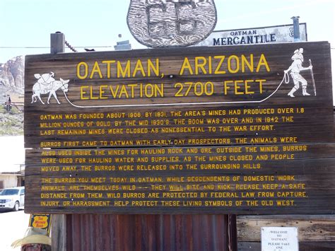 land cruising adventure oatman arizona