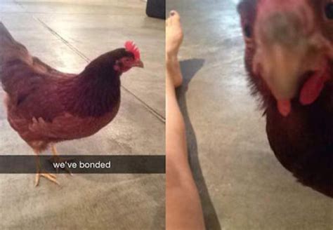 hilarious snapchat stories that will bring a smile to your face 41 pics