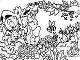Duck Donald Coloring Daisy Baby Wallpaper Wecoloringpage sketch template