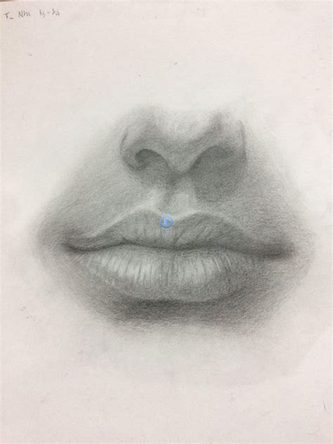 contour nose  mouth noses art realistic drawings sketches
