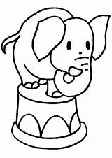 Elephant Coloring Pages Coloringpages1001 Circus Baby sketch template