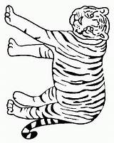 Tijger Kleurplaten Tigri Colorat Kleurplaat Animale Felini Tigre Animaatjes Planse P26 Mewarnai Macan Ausmalbild Coloriages Malvorlage Leoni Animierte Malvorlagen1001 Desene sketch template