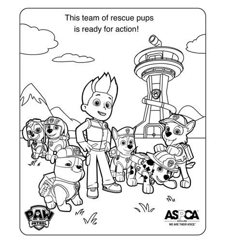 coloring pages coloring home