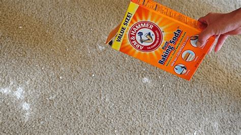 tips    remove mold  mildew  carpet