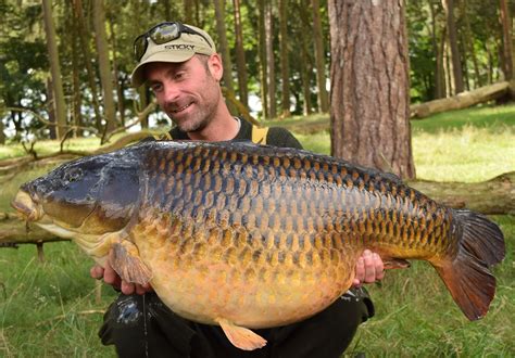Huge Park Lake Common Carp Is A Regional Record For North West
