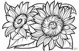 Sunflower Sunflowers Girassol Girasoli Sonnenblume Kostenlos Malvorlagen Colorare Disegno Malvorlage Girasoles Girasol Supercoloring Sheets Pintar Sonnenblumen Ausdrucken Ausmalbilder Drucken Ausmalbild sketch template