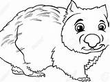 Wombat Drawing Getdrawings Coloring Printable Pages sketch template