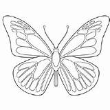 Coloring Morpho Schmetterlinge Schmetterling Borboletas Borboleta Ausdrucken Getcolorings Mariposas Monarch Sponsored Ditt Barnet sketch template