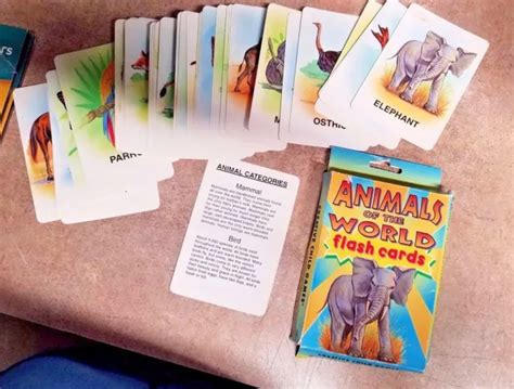 creative child games animals   world    flash cards