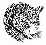 Jaguar Kleurplaat Hoofd Dieren Lineart Stencils Dier Dxf Dfx Clip Draak Dibujo Silhouet Dschungel Vectorified Leopardo Zoekplaat Bestand Snijden Loin sketch template