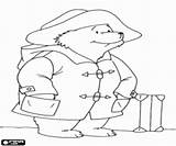 Paddington Famoso Oso Malvorlagen Bär Berühmte Urso Zeichentrickfiguren Verschiedene Diversos Beertje Beroemde Ausmalbilder sketch template