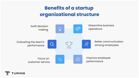 build  tech startup team structure