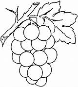 Grape Cliparts Leaves Coloring Printable Grapes Pages sketch template