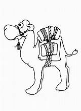 Camel Camels Für sketch template