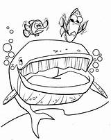 Nemo Coloring Pages Finding Whale Crush Book sketch template
