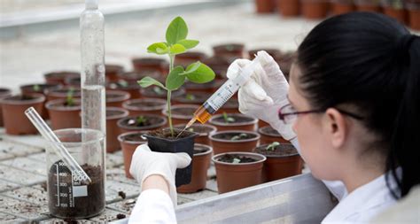 explore career opportunities   plant world   degree  botany