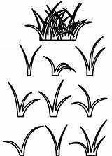 Grass Tall Clipartmag Drawing Coloring sketch template