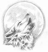 Native Drawing Wolf American Drawings Paintingvalley sketch template