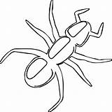 Coloring Wecoloringpage Insect Pages sketch template