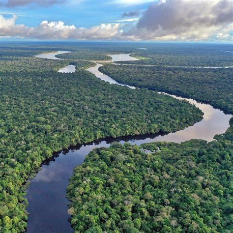 amazonas kreuzfahrten auf dem amazonas ab manaus flusskreuzfahrt tourismus schiegg envio