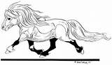 Shetland Furberg Pony Shettis Tegninger Hopper Piczo sketch template