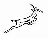 Springbok Coloring Tattoo Animal Rugby Africa African South Outline Stencil Silhouette Tattoos Drawings Line Photobucket Sa Designs Venter Stencils Patterns sketch template
