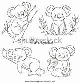 Koala Bears Bear sketch template