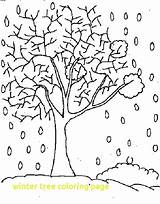 Winter Tree Coloring Pages Printable Getdrawings Color Print Getcolorings sketch template