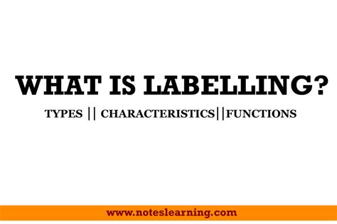 labelling introduction types  functions notes learning