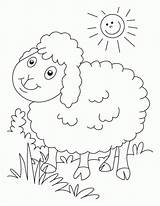 Coloring Sheep Pages Popular sketch template
