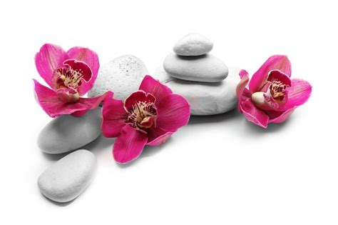 premium photo white spa stones  red orchid isolated  white