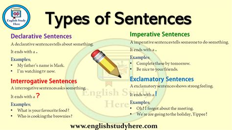 kinds  sentences sentence functions types examples