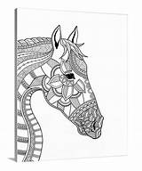 Coloring Canvas Horse Pages Portrait Choose Board Demand sketch template