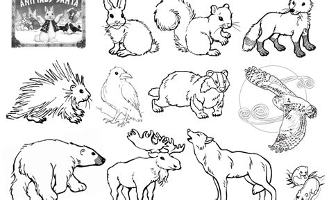 forest animals coloring pages preschool barry morrises coloring pages