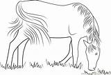 Coloring Horses Feeding Coloringpages101 Pages sketch template