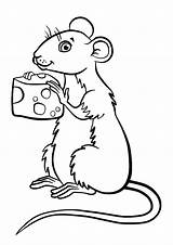 Cheese Coloring Mouse Cute Macaroni Drawing Pages Getdrawings Getcolorings Chuck Color Animal sketch template